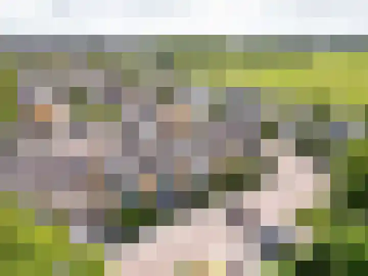 Boekenburglaan 8 Voorhout thumbnail 32