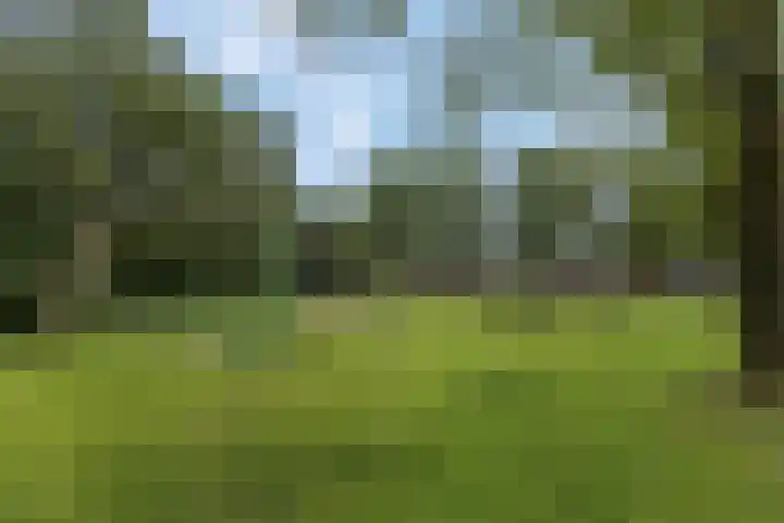 Boekendaal 15 Amersfoort thumbnail 21