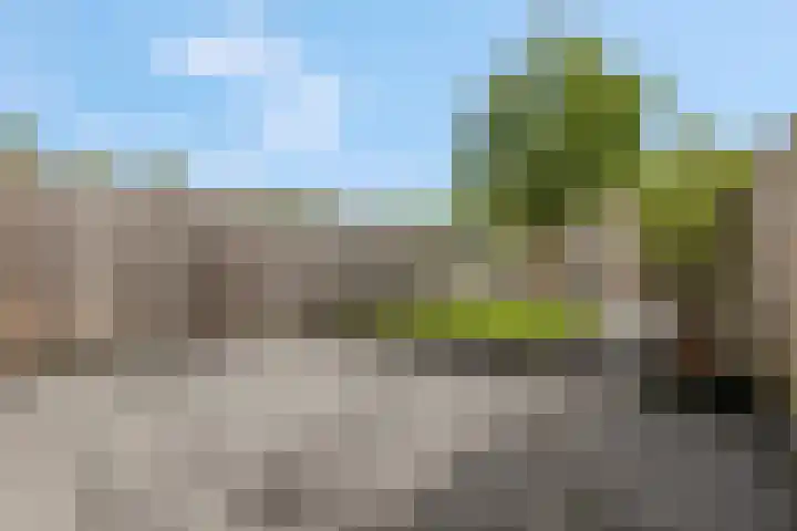 Boekendaal 15 Amersfoort thumbnail 8