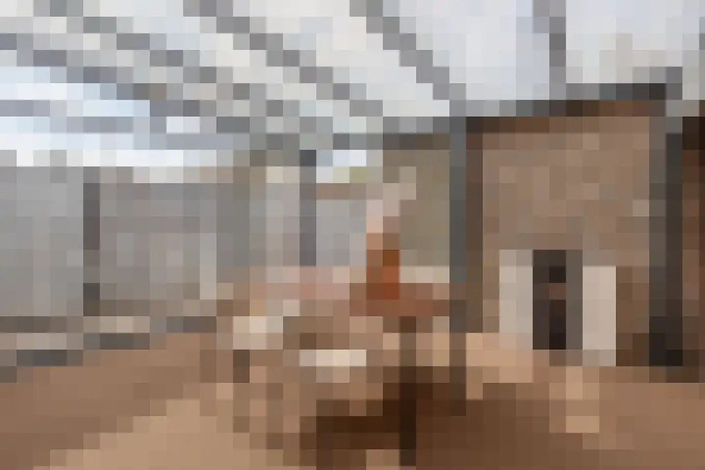 Boekenderstraat 187 Venlo thumbnail 6