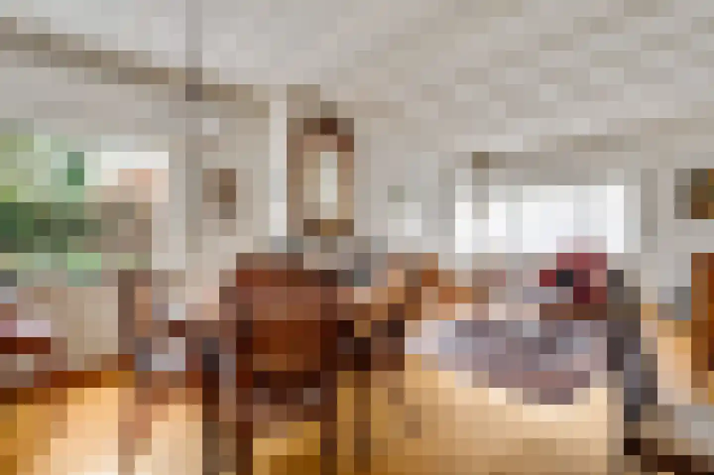 Boekenderweg 1 Thorn thumbnail 11