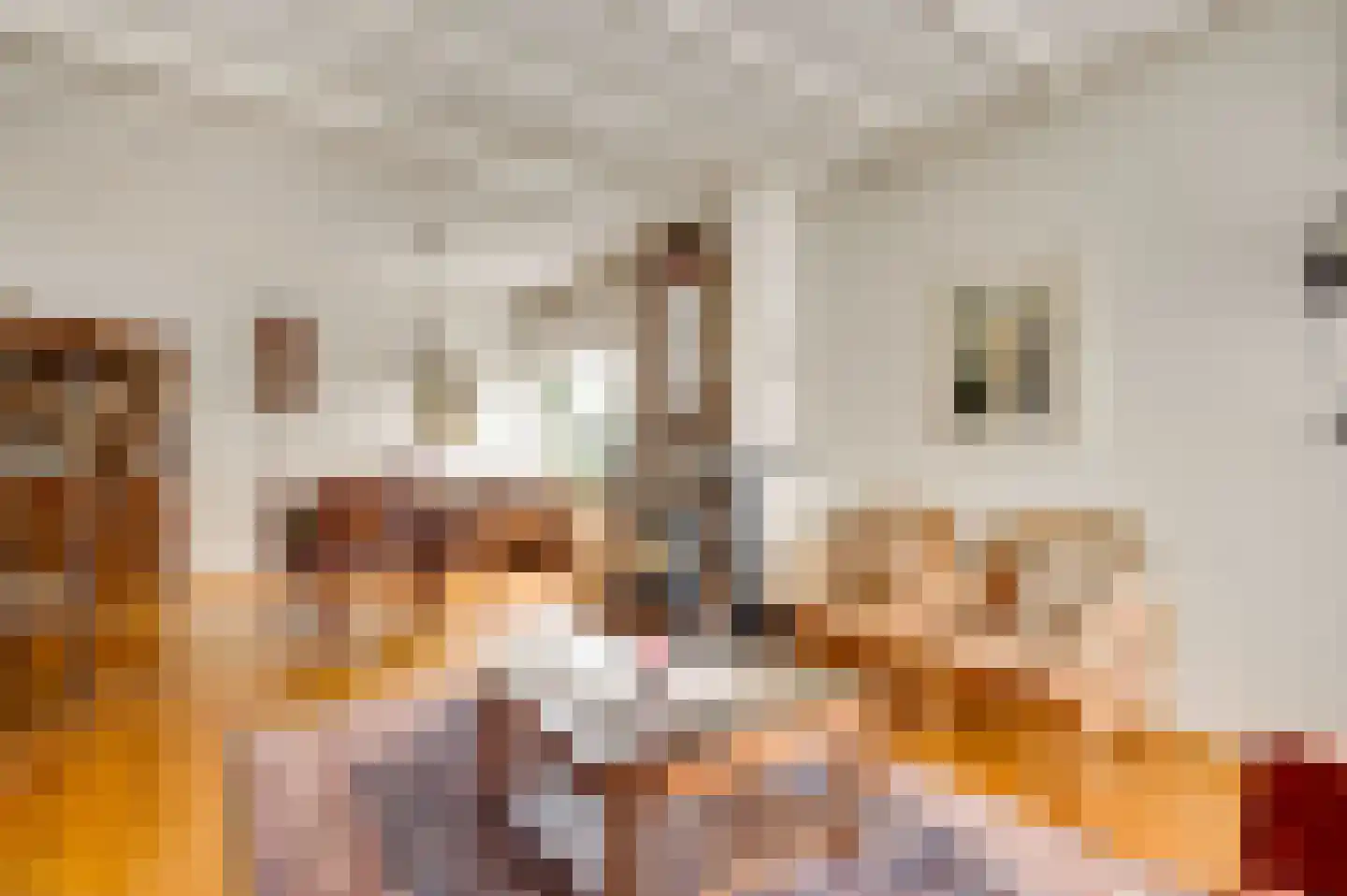 Boekenderweg 1 Thorn thumbnail 14