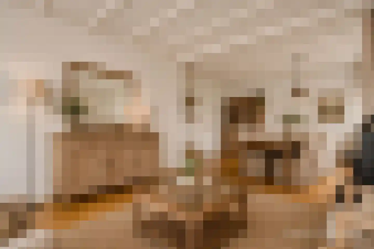 Boekenderweg 1 Thorn thumbnail 16