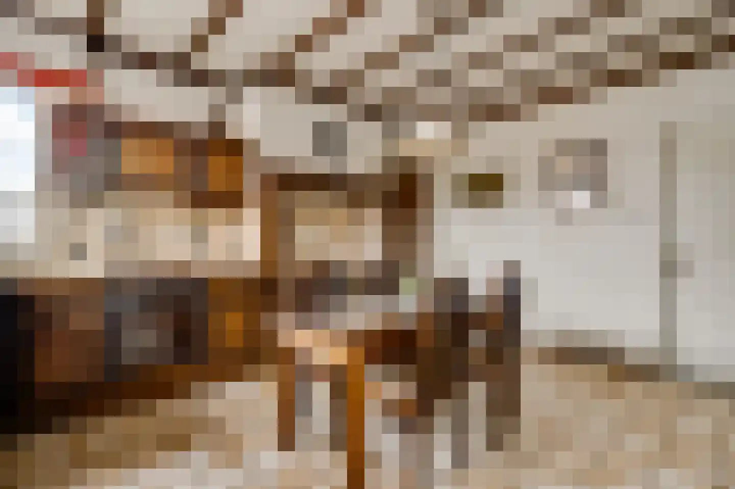 Boekenderweg 1 Thorn thumbnail 17