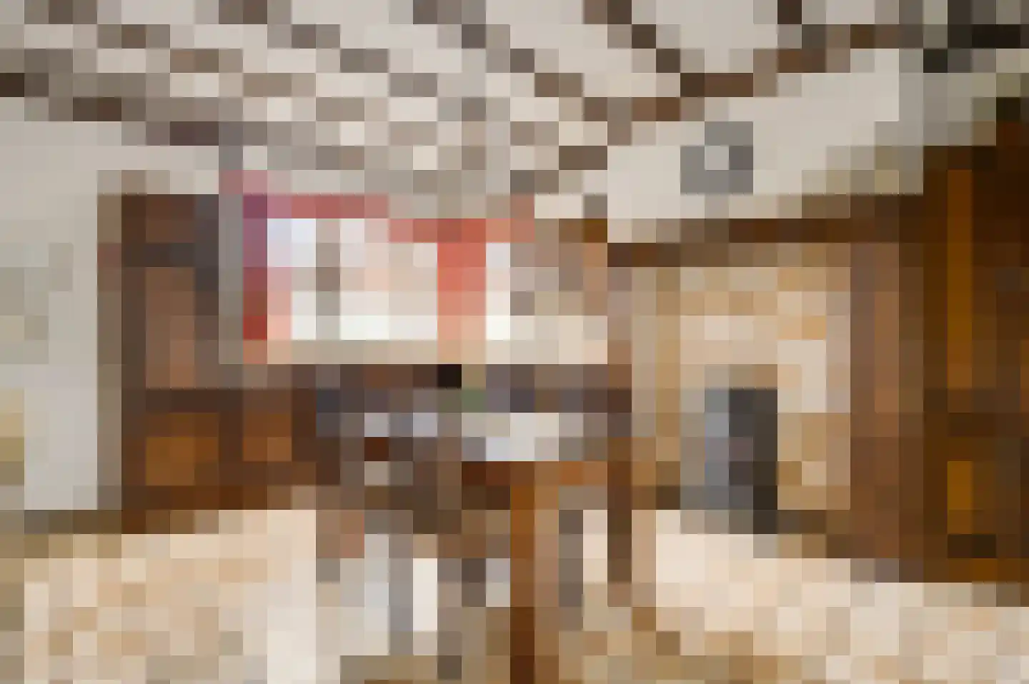Boekenderweg 1 Thorn thumbnail 18