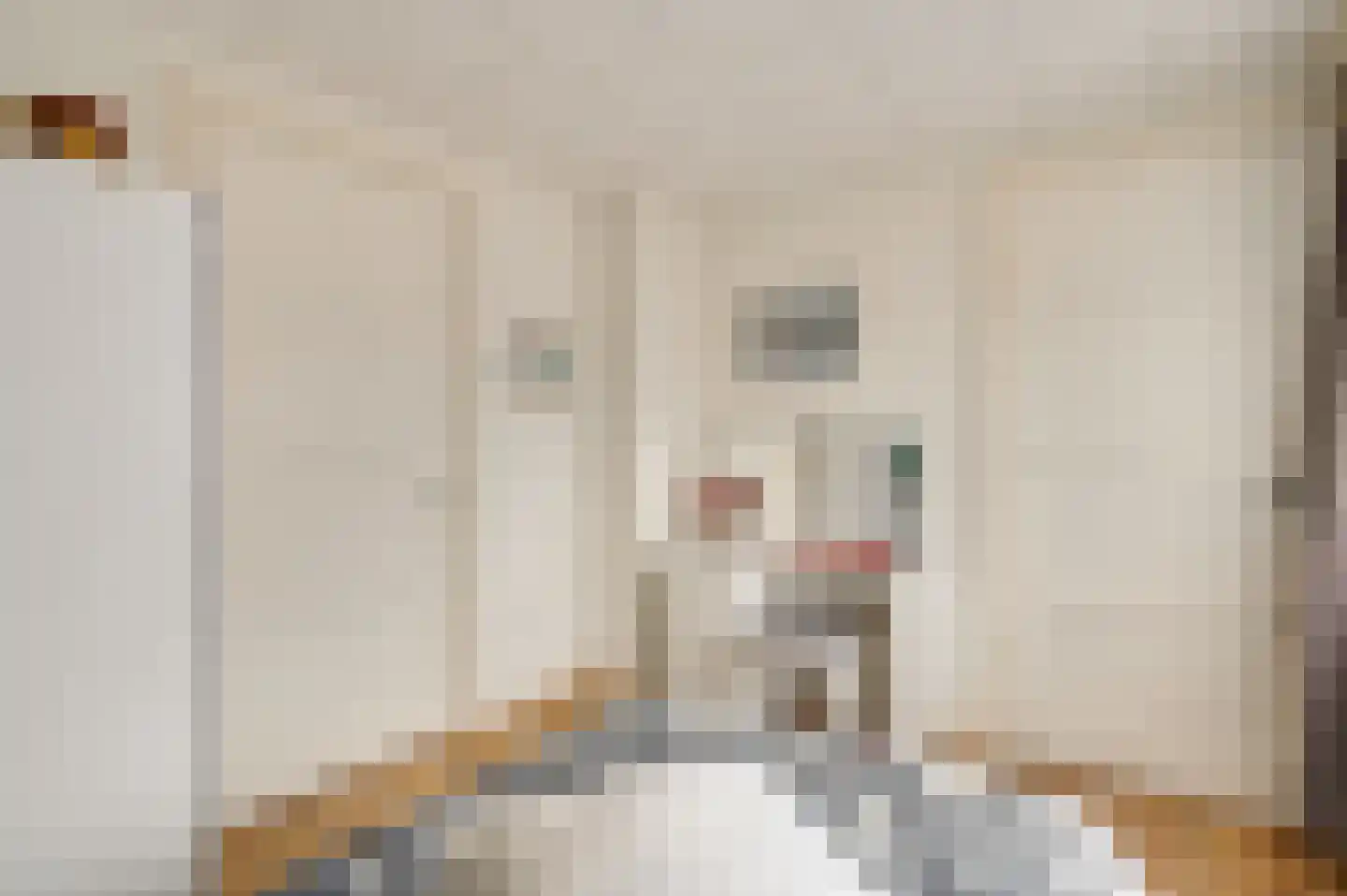 Boekenderweg 1 Thorn thumbnail 33