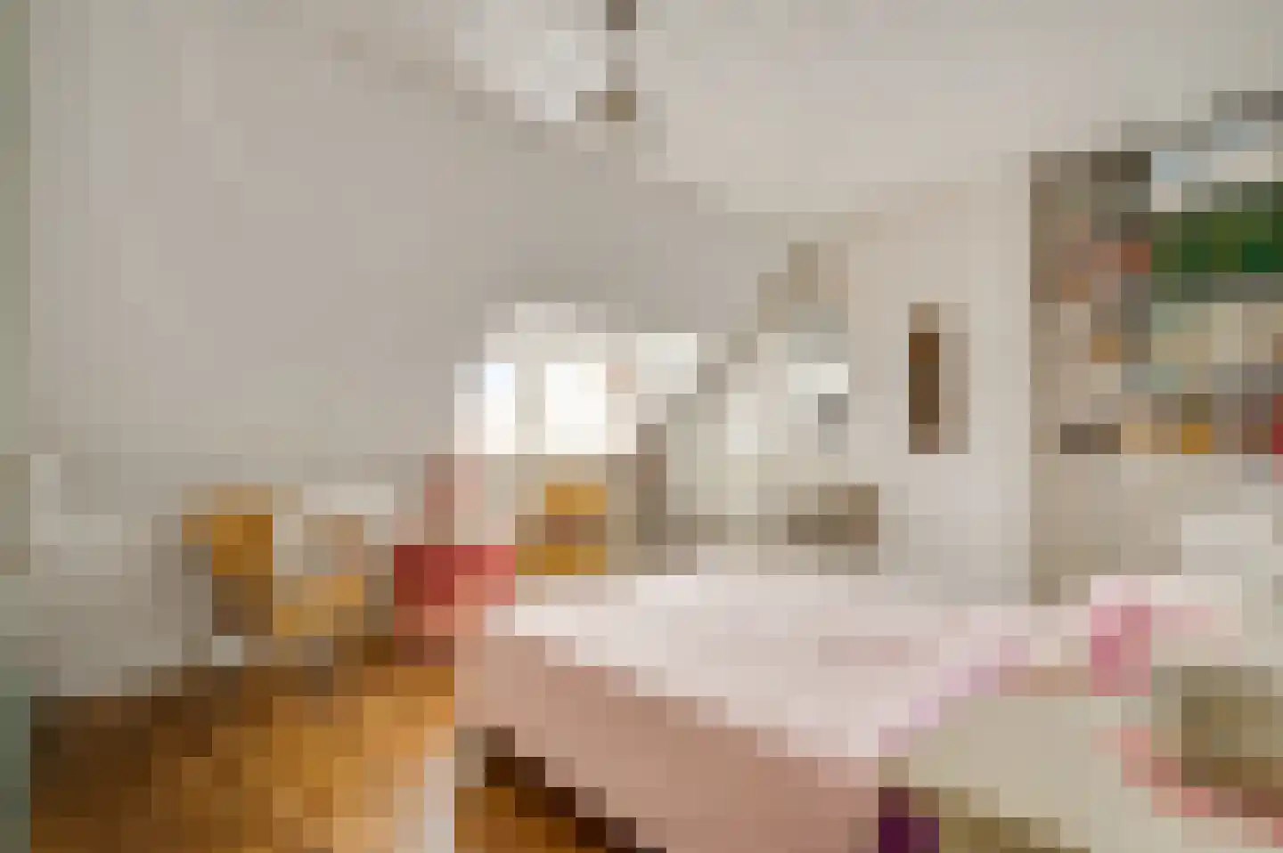 Boekenderweg 1 Thorn thumbnail 34