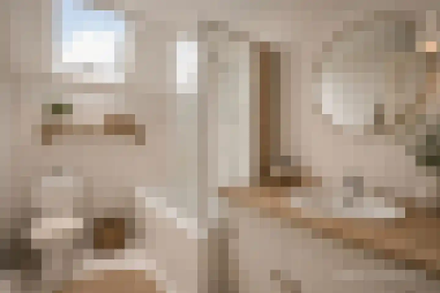 Boekenderweg 1 Thorn thumbnail 43