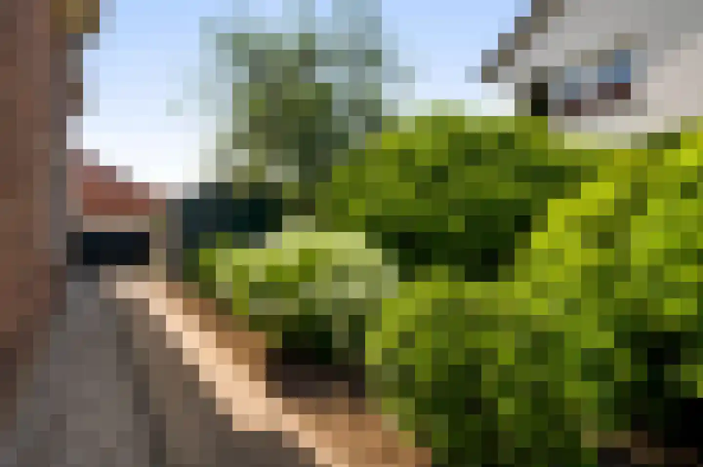 Boekenderweg 1 Thorn thumbnail 49