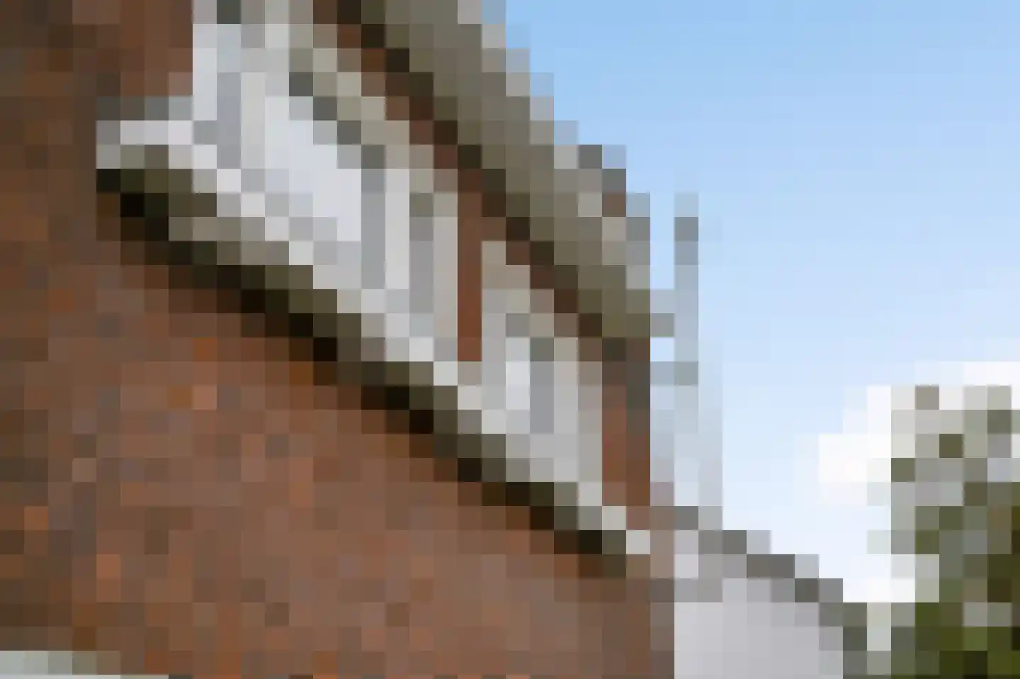 Boekenderweg 1 Thorn thumbnail 57