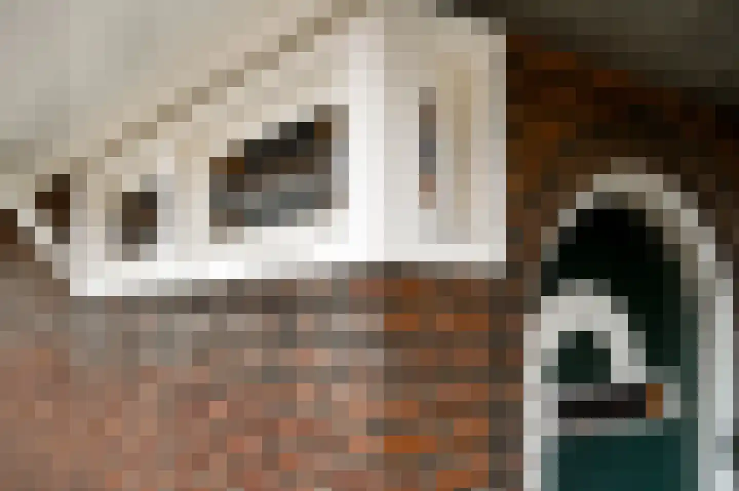 Boekenderweg 1 Thorn thumbnail 58