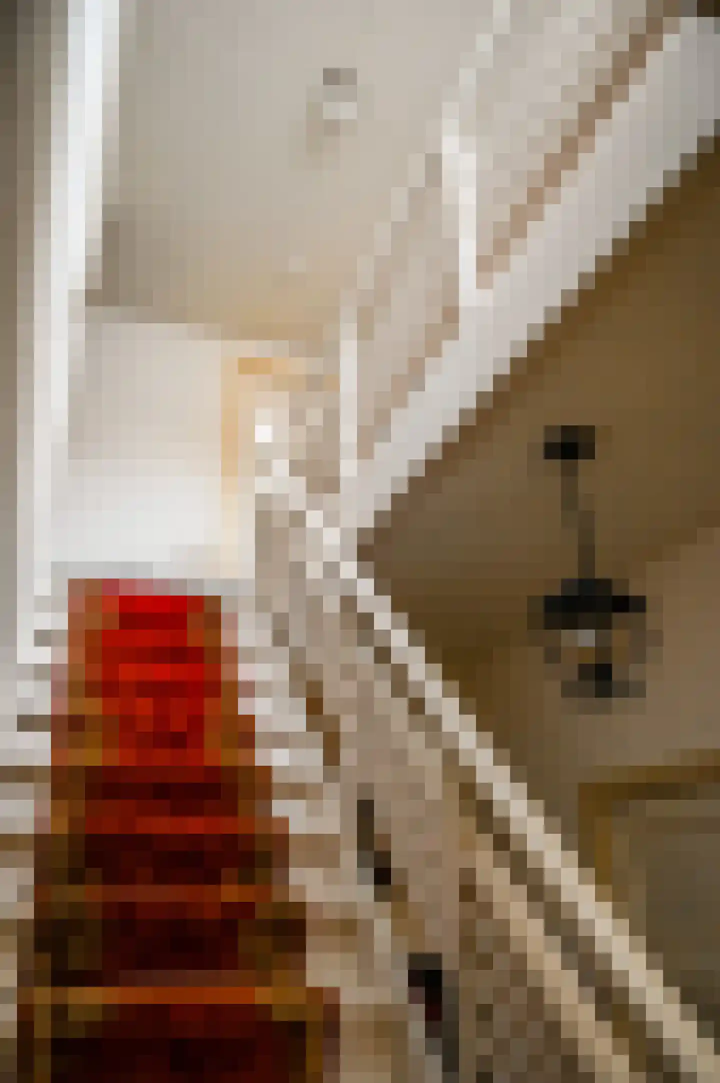 Boekenderweg 1 Thorn thumbnail 61