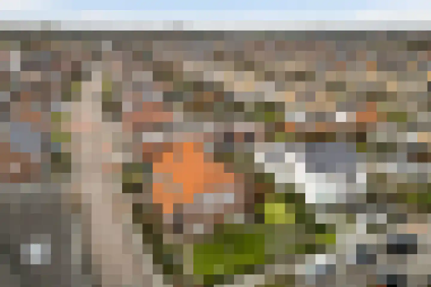 Boekenderweg 1 Thorn thumbnail 66