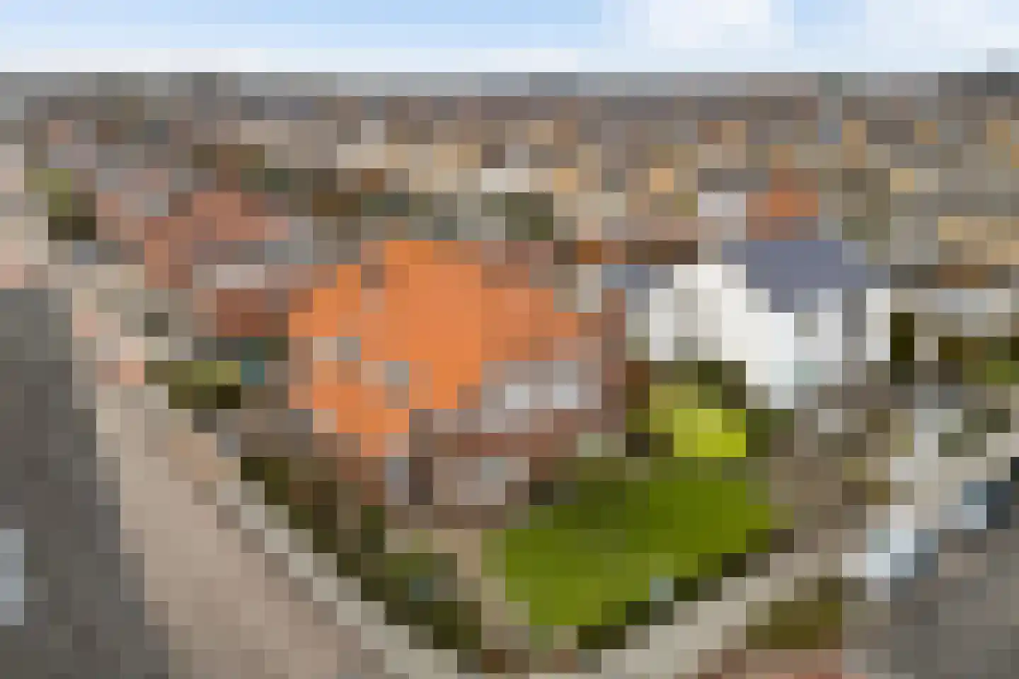 Boekenderweg 1 Thorn thumbnail 67