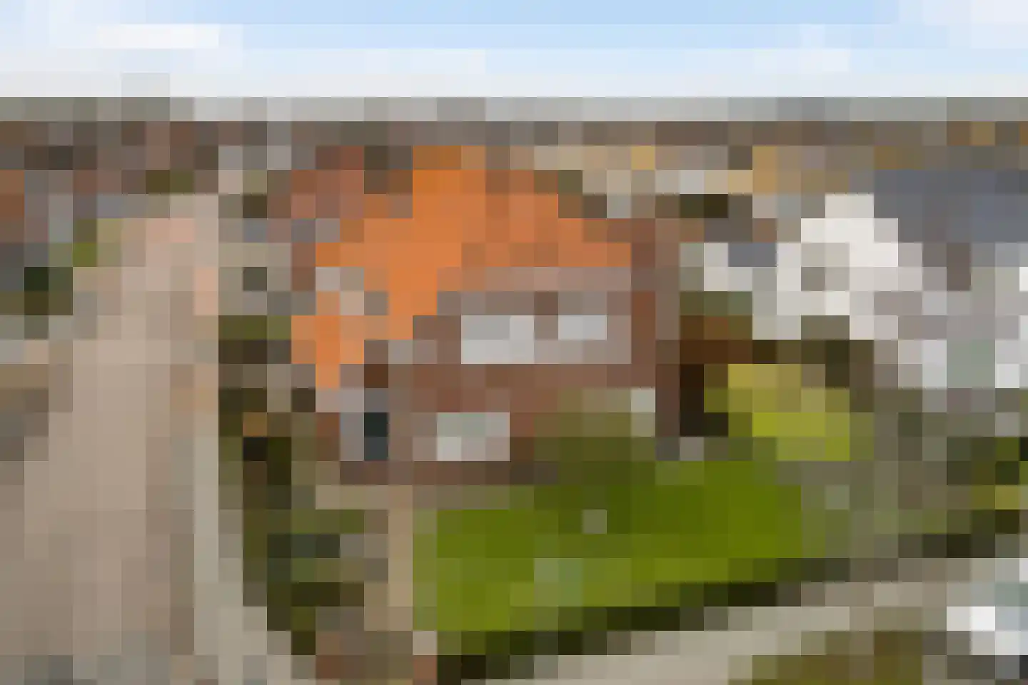 Boekenderweg 1 Thorn thumbnail 68