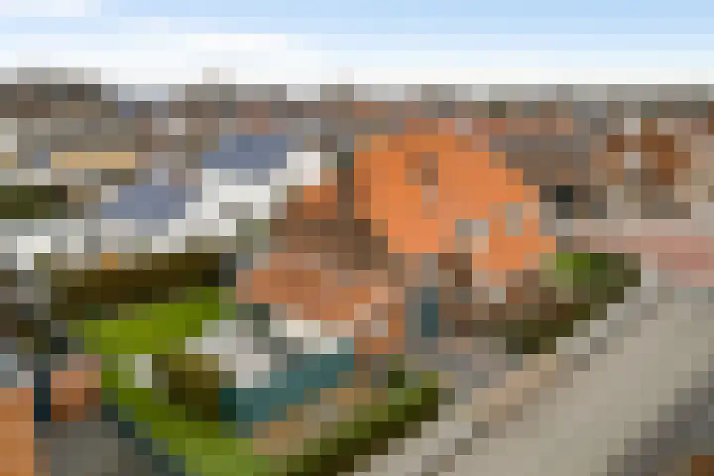 Boekenderweg 1 Thorn thumbnail 70