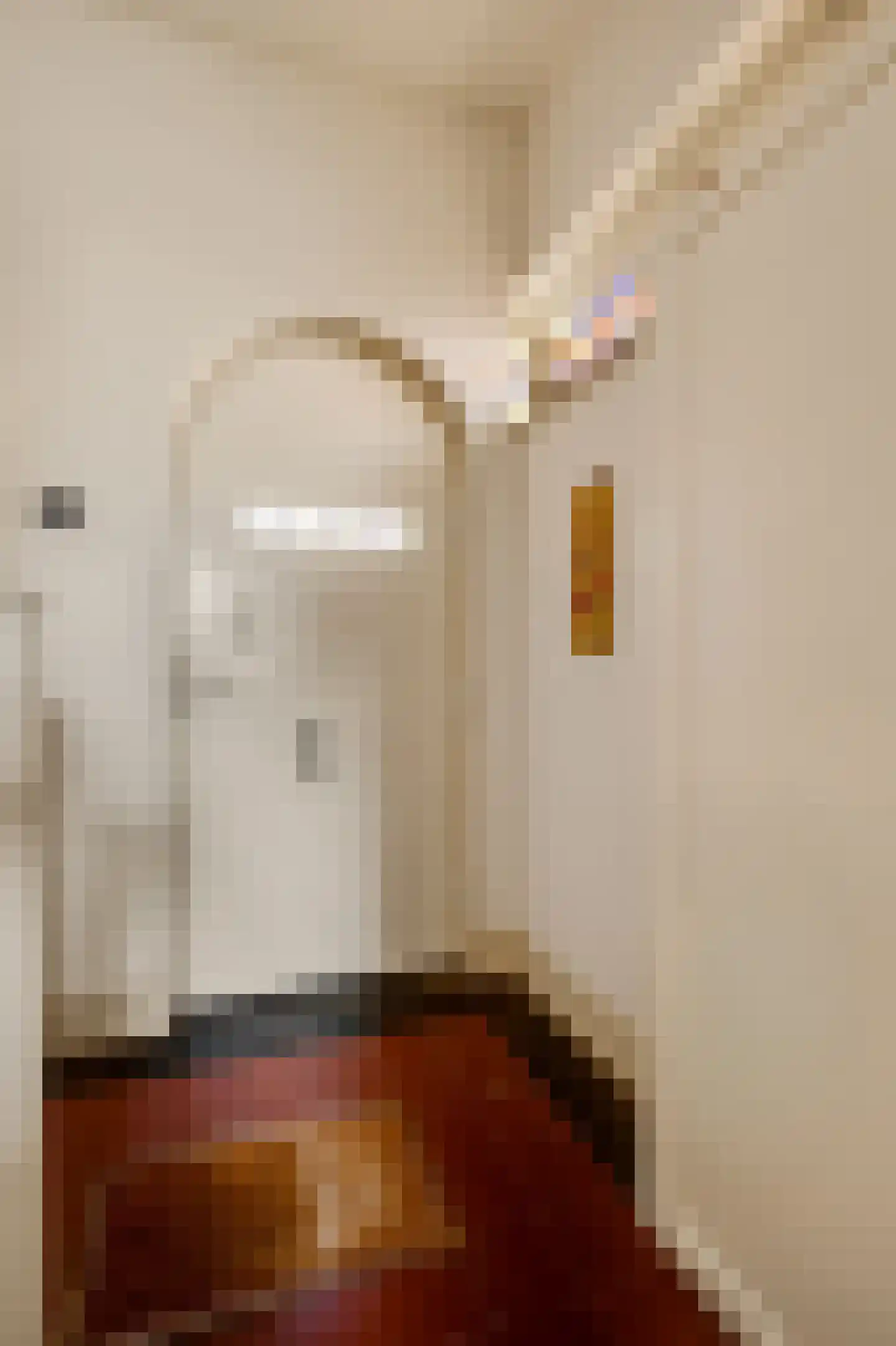 Boekenderweg 1 Thorn thumbnail 8