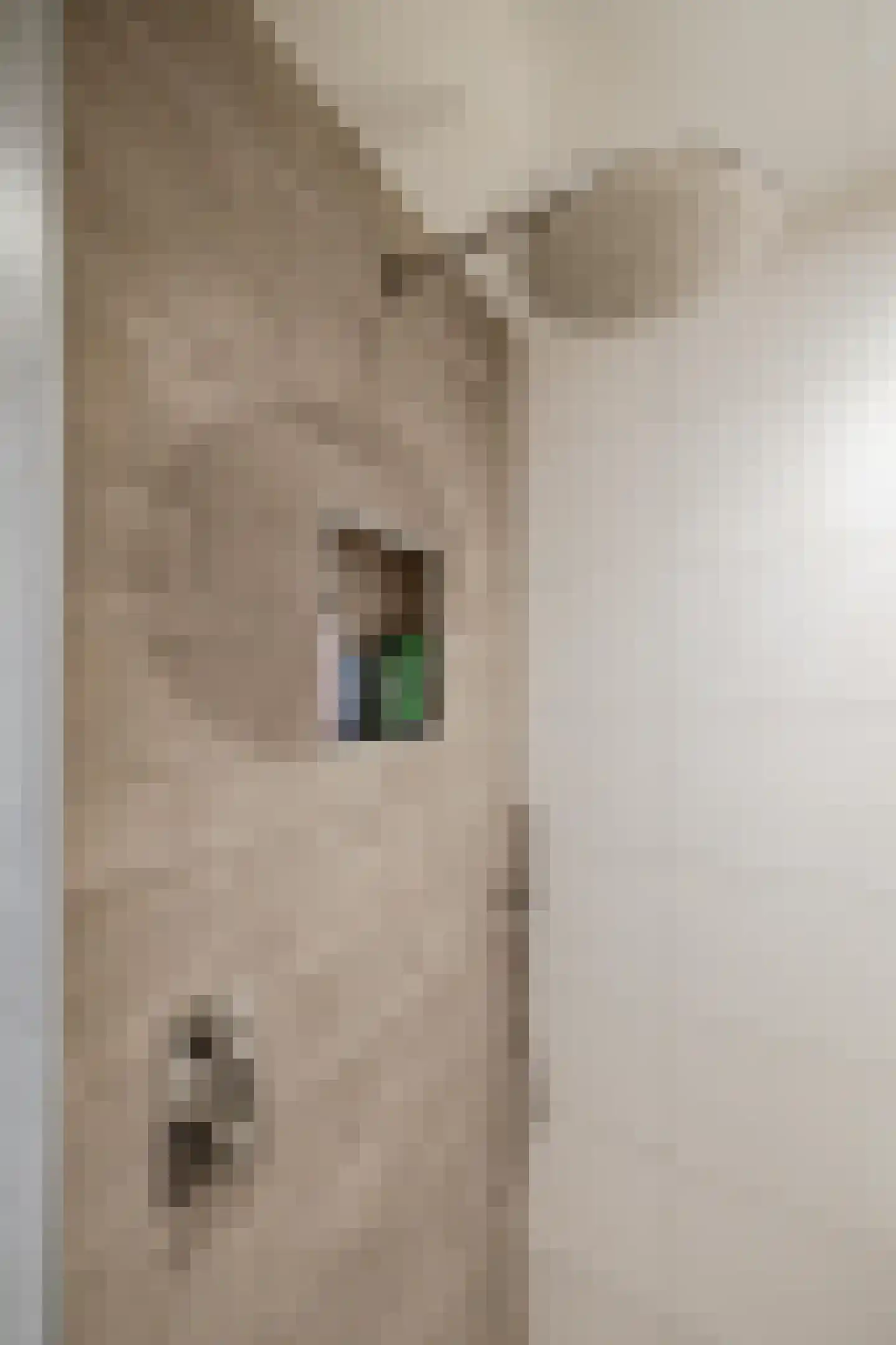 Boekenlaan 15 Groningen thumbnail 30