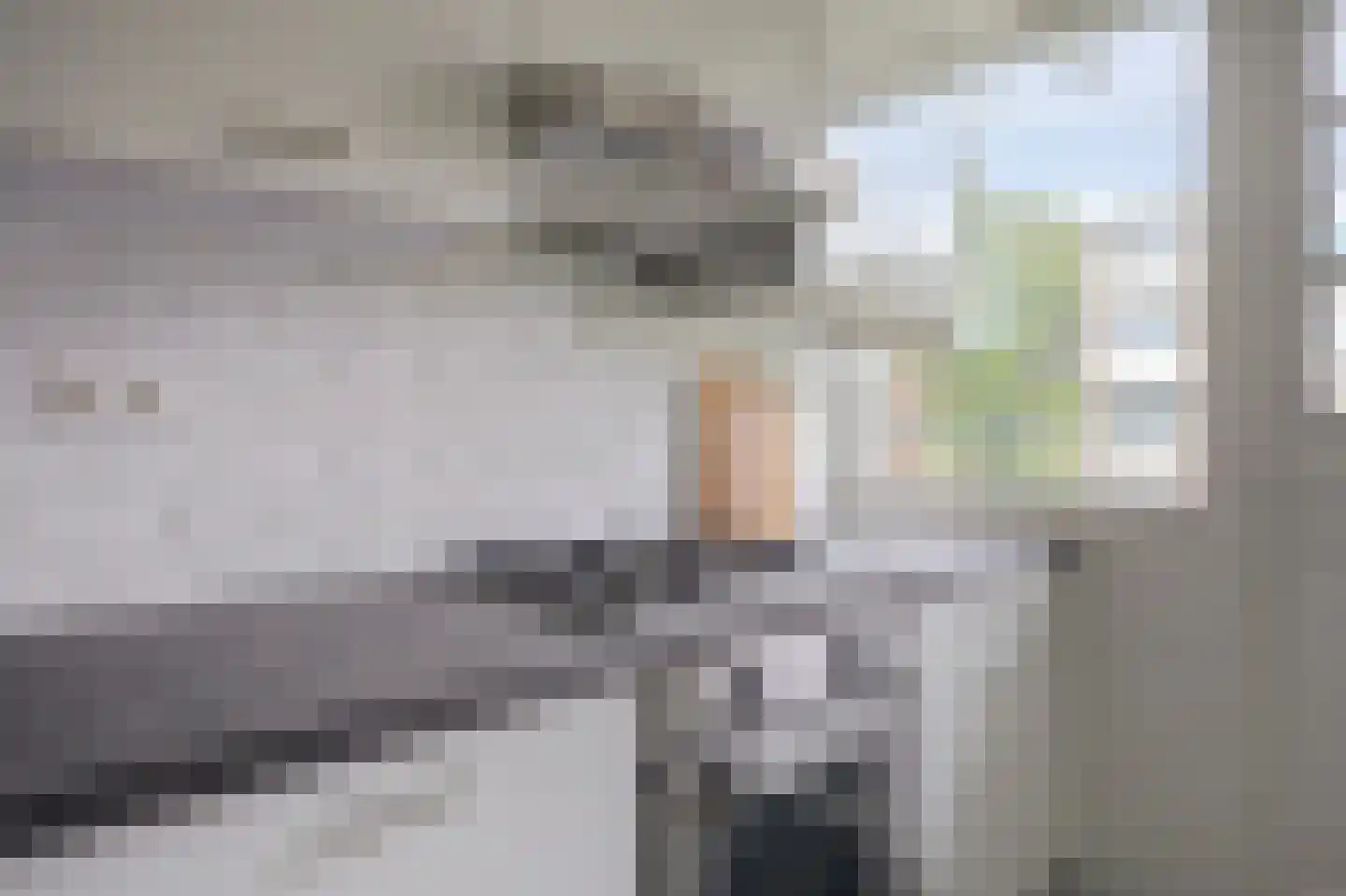 Boekenrode 10 Rotterdam thumbnail 13