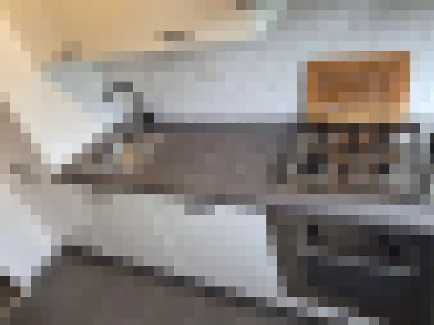 Boekenrode 10 Rotterdam thumbnail 15