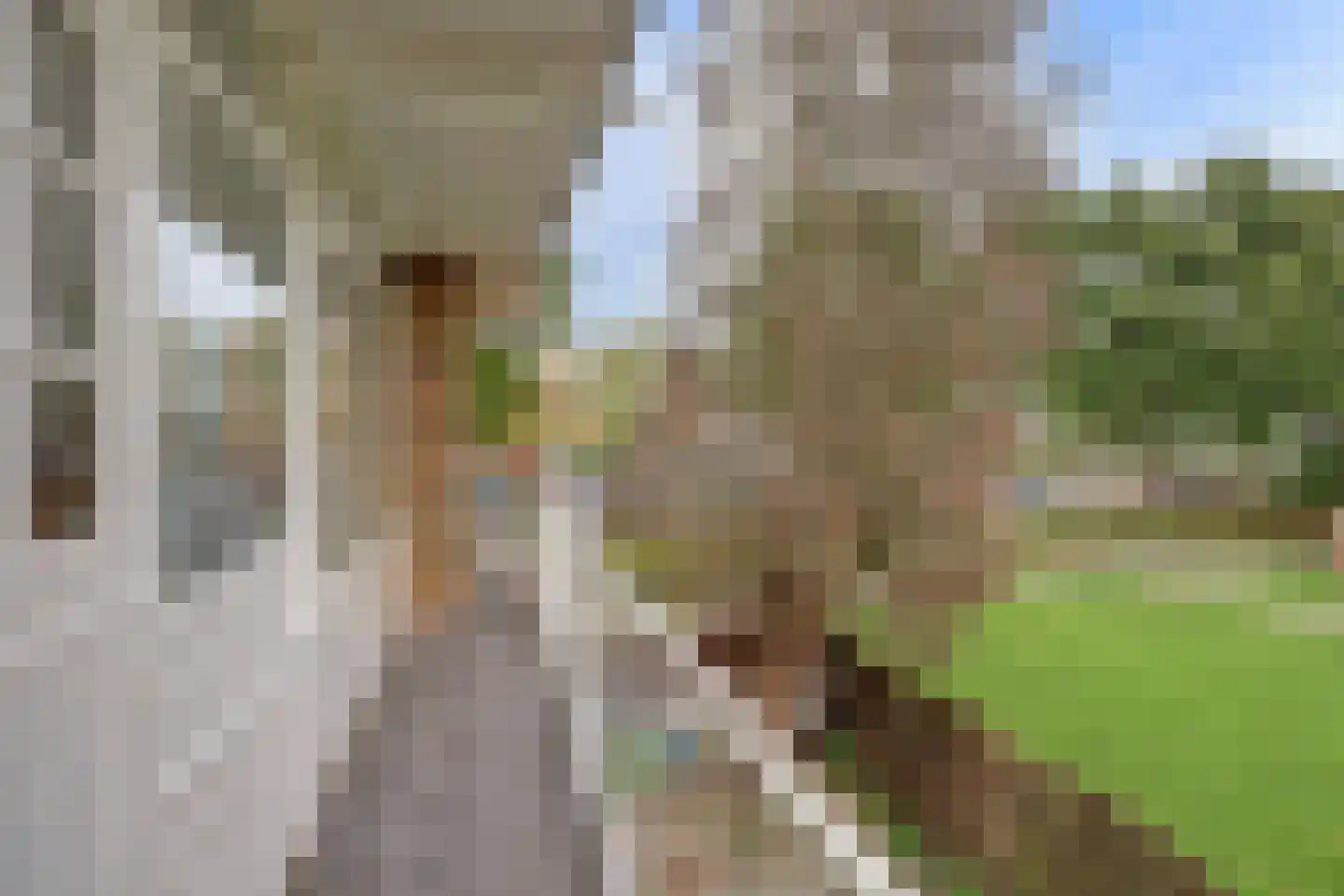 Boekenrode 10 Rotterdam thumbnail 5