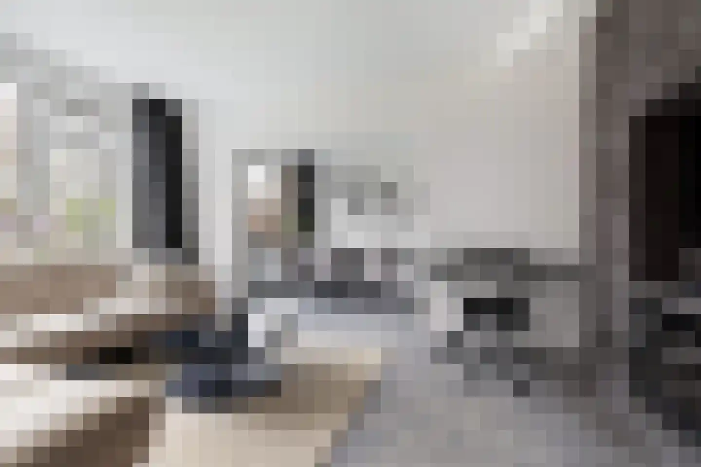 Boekenrode 14 Rotterdam thumbnail 16