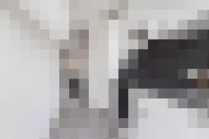 Boekenrode 14 Rotterdam thumbnail 20