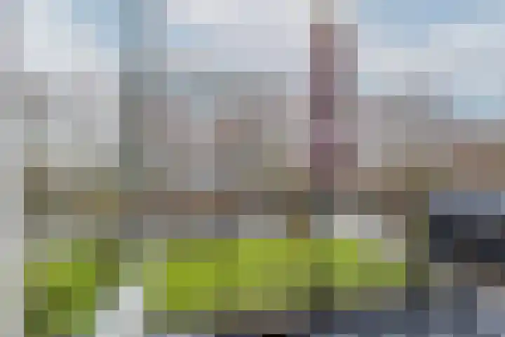 Boekenrode 14 Rotterdam thumbnail 30