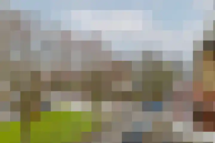 Boekenrode 14 Rotterdam thumbnail 32