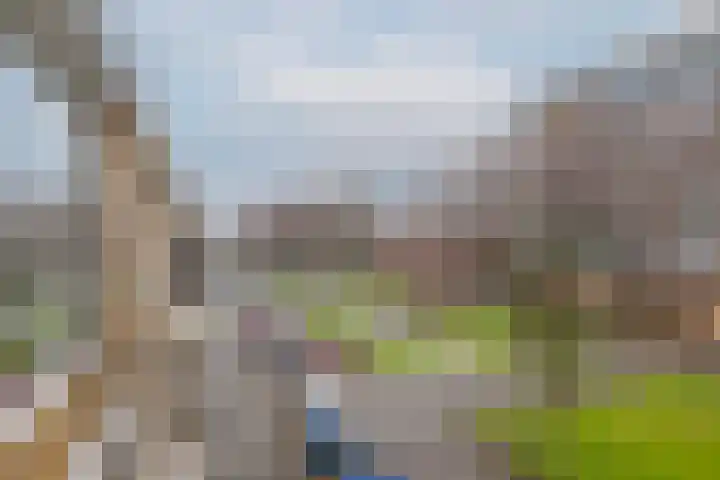 Boekenrode 14 Rotterdam thumbnail 33