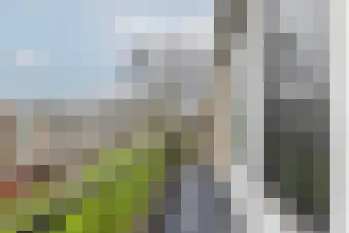 Boekenrode 14 Rotterdam thumbnail 34
