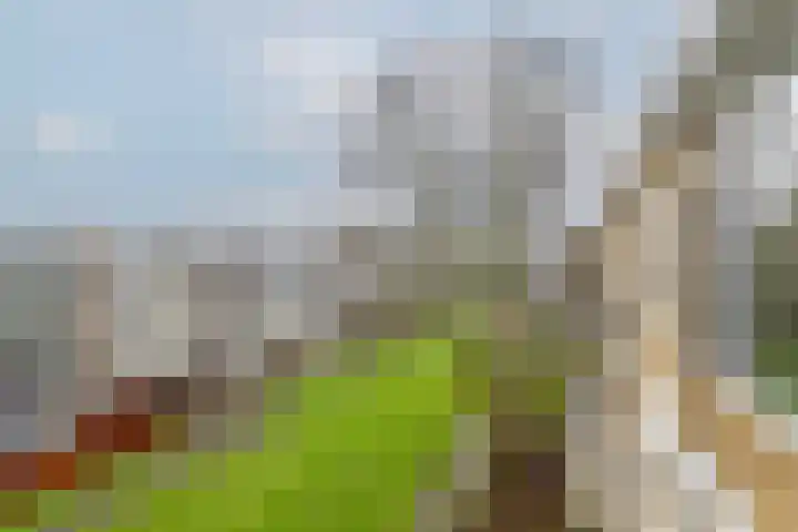 Boekenrode 14 Rotterdam thumbnail 35