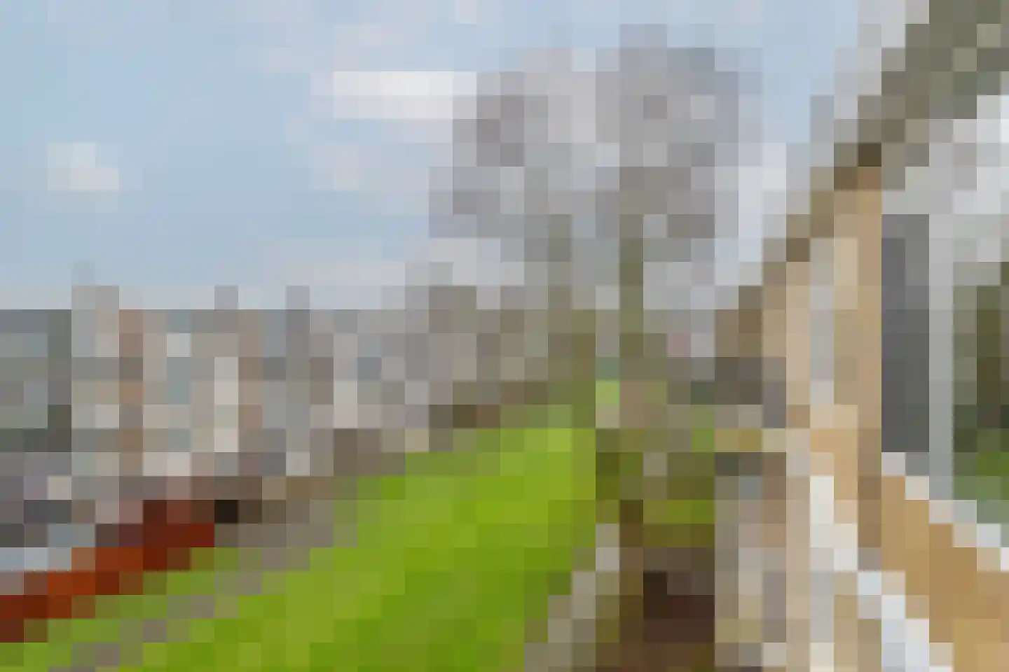 Boekenrode 14 Rotterdam thumbnail 35