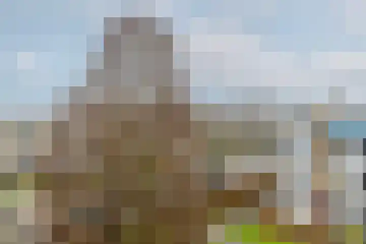 Boekenrode 14 Rotterdam thumbnail 37