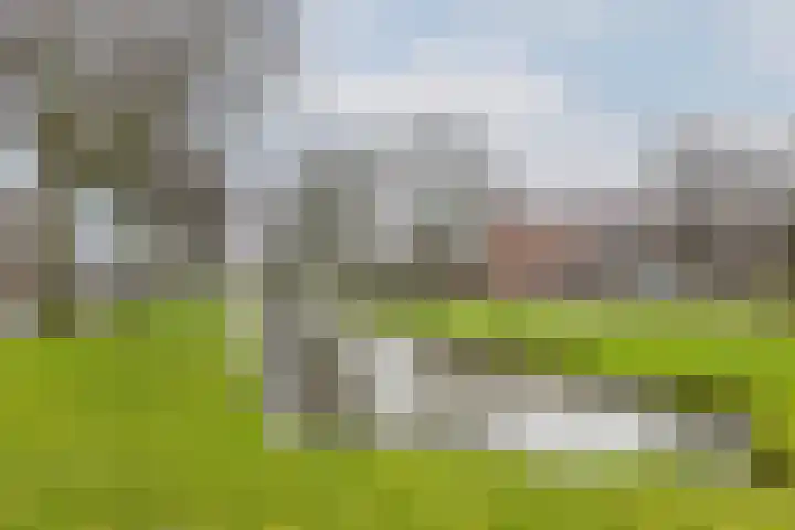 Boekenrode 14 Rotterdam thumbnail 38
