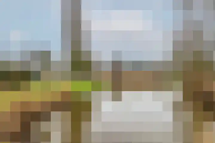 Boekenrode 14 Rotterdam thumbnail 39