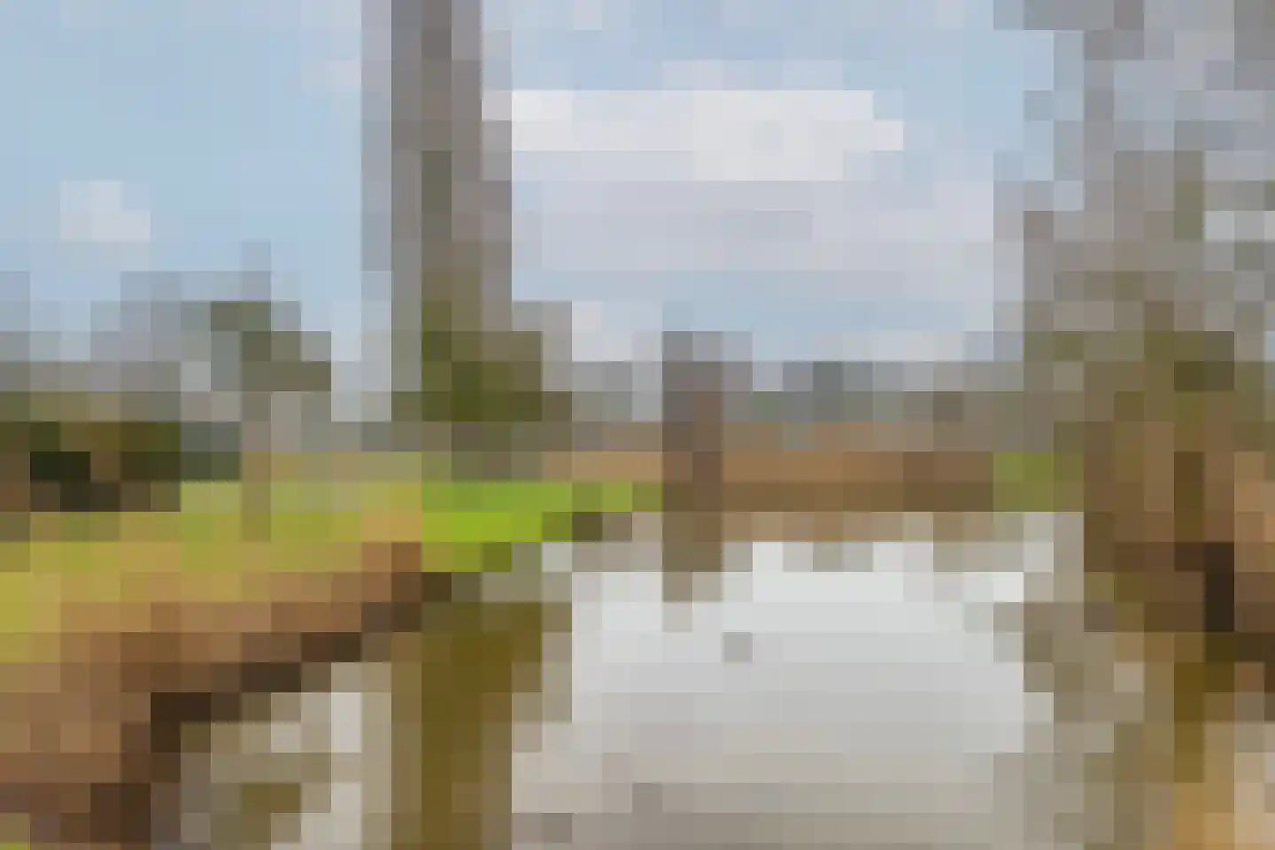 Boekenrode 14 Rotterdam thumbnail 39
