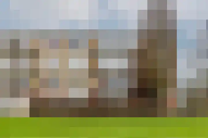 Boekenrode 14 Rotterdam thumbnail 5