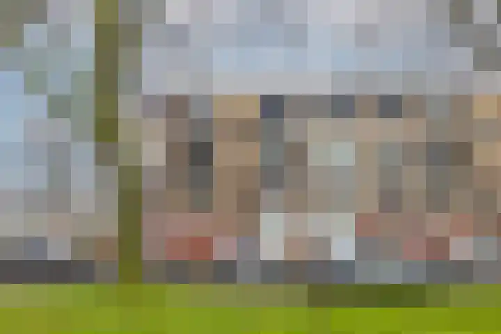 Boekenrode 14 Rotterdam thumbnail 6