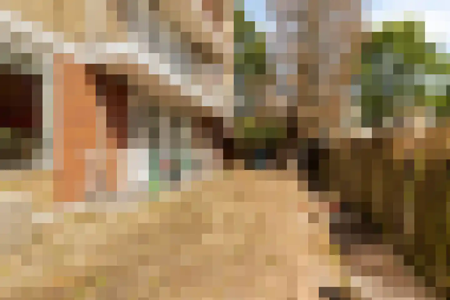 Boekenrode 8 Rotterdam thumbnail 24