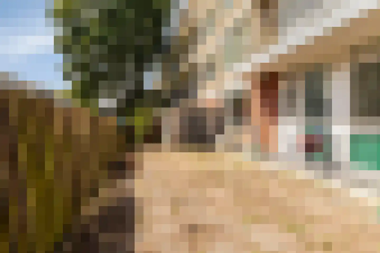 Boekenrode 8 Rotterdam thumbnail 25