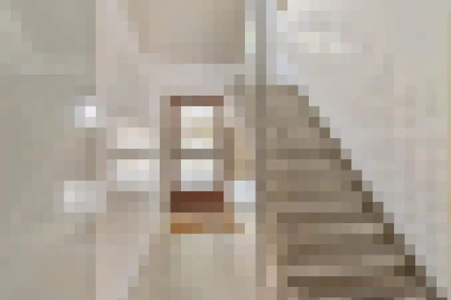 Boekenrode 8 Rotterdam thumbnail 5