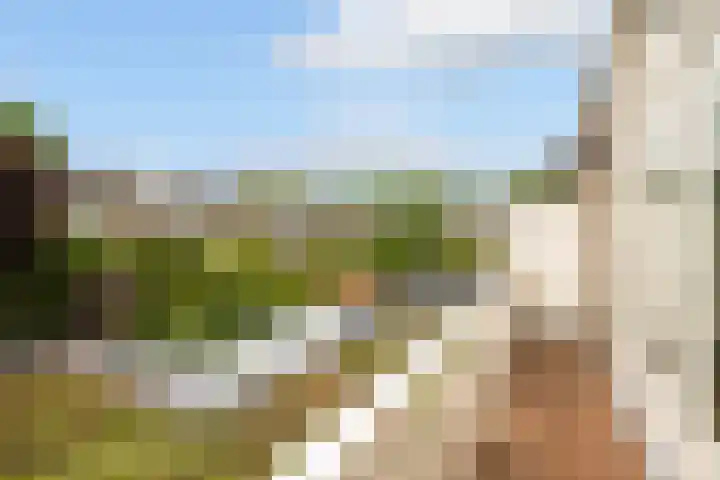Boekenrodelaan 13 Amstelveen thumbnail 23