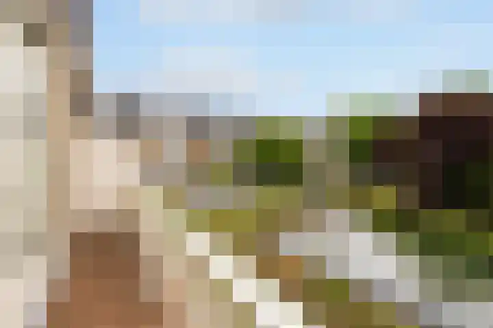 Boekenrodelaan 13 Amstelveen thumbnail 24