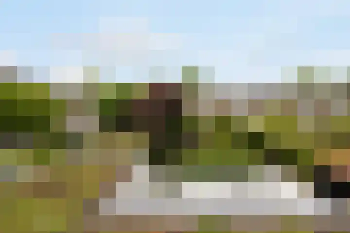 Boekenrodelaan 13 Amstelveen thumbnail 25