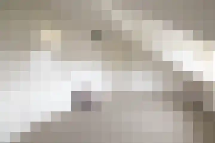 Boekenrodelaan 13 Amstelveen thumbnail 31