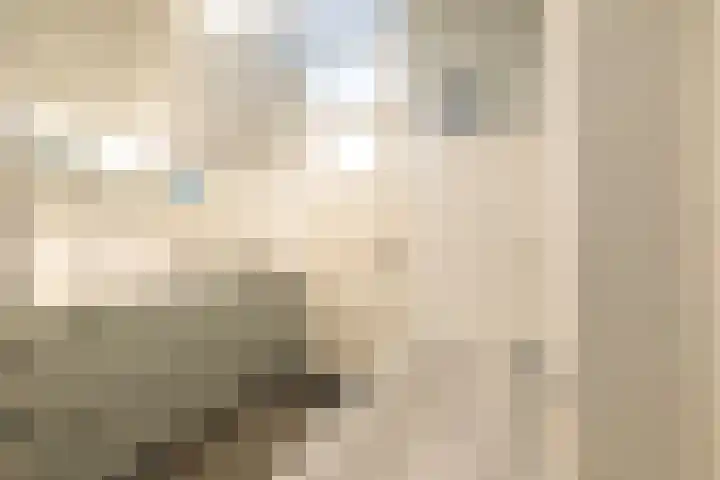 Boekenrodelaan 13 Amstelveen thumbnail 34
