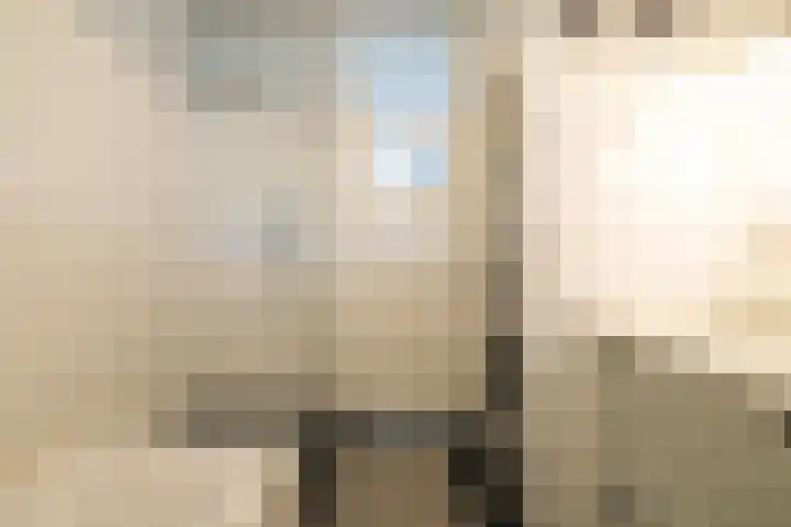 Boekenrodelaan 13 Amstelveen thumbnail 35
