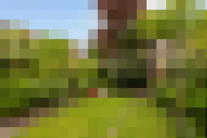 Boekenrodelaan 13 Amstelveen thumbnail 38
