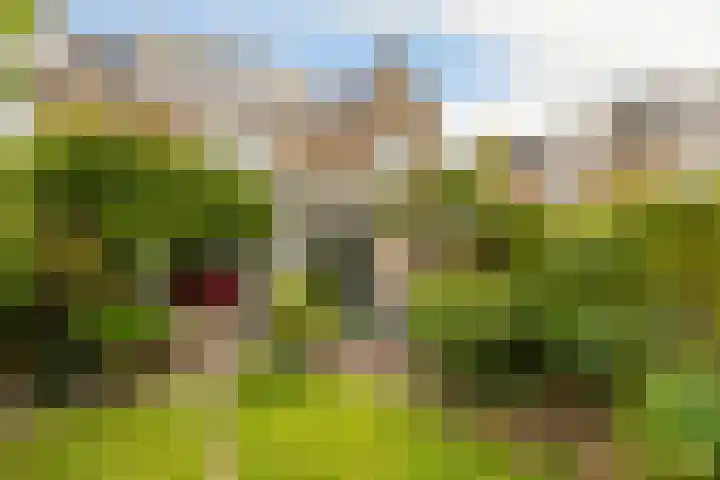 Boekenrodelaan 13 Amstelveen thumbnail 39